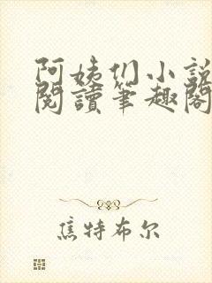 阿姨们小说全文阅读笔趣阁