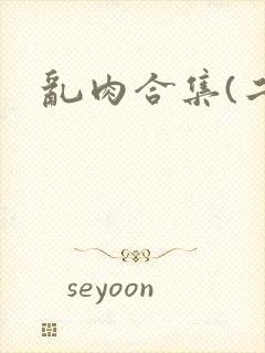 乱肉合集(二)封面