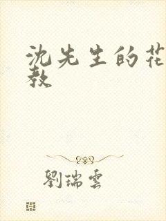 沈先生的花式管教