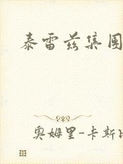 泰雷兹集团封面