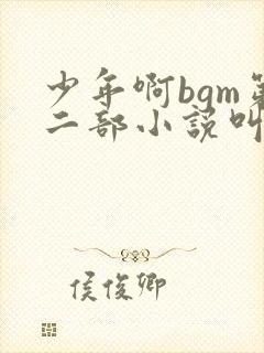 少年啊bgm第二部小说叫什么