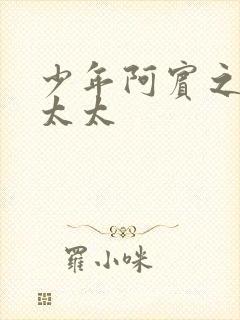 少年阿宾之房东太太