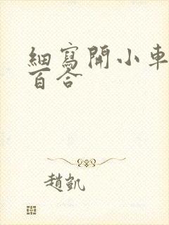 细写开小车车的百合封面