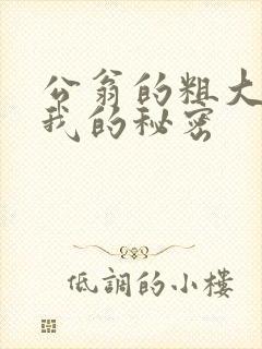 公翁的粗大放进我的秘密