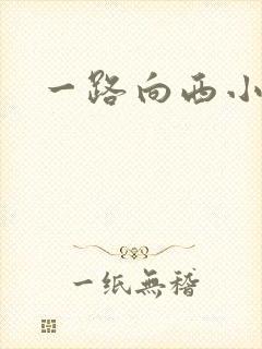 一路向西小说