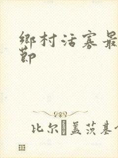 乡村活寡最新章节