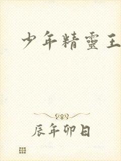 少年精灵王封面