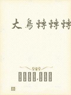 大鸟转转转封面
