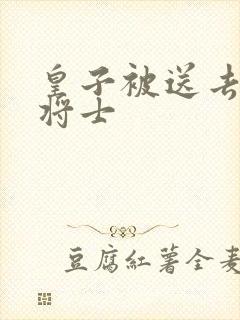 皇子被送去犒劳将士