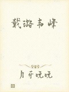 戴璐韦峰封面