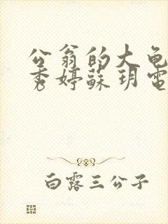 公翁的大龟挺进秀婷苏玥电影