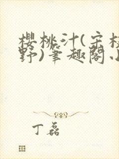樱桃汁(宋枝江野)笔趣阁小说封面