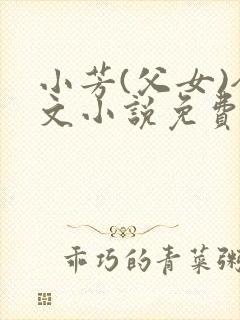 小芳(父女)全文小说免费阅读封面