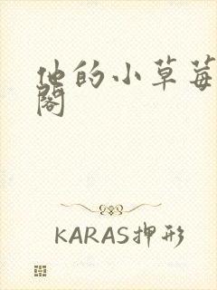 他的小草莓笔趣阁封面