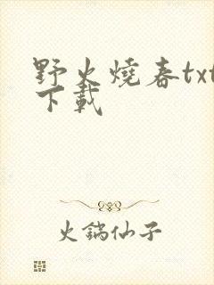 野火烧春txt下载