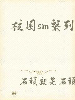 校园sm系列h封面