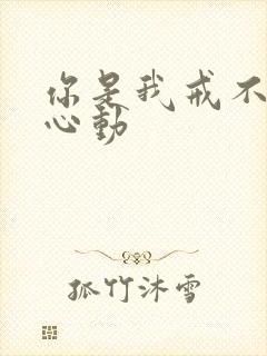 你是我戒不掉的心动