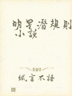 明星潜规则之皇 小说