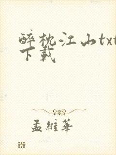 醉枕江山txt下载封面