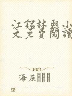 江铭林熙小说全文免费阅读