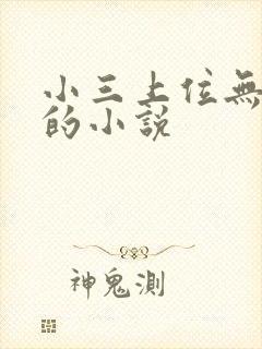 小三上位无三观的小说