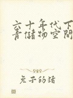 六十年代下乡知青储物空间