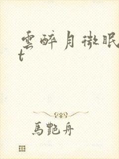 云醉月微眠txt封面