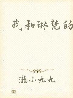 我和琳梵的故事