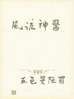 风流神医封面