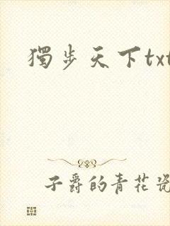 独步天下txt