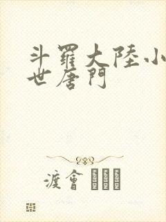 斗罗大陆小说绝世唐门
