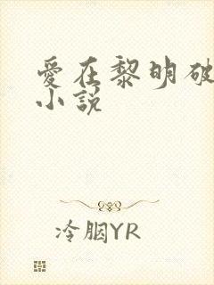 爱在黎明破晓前小说