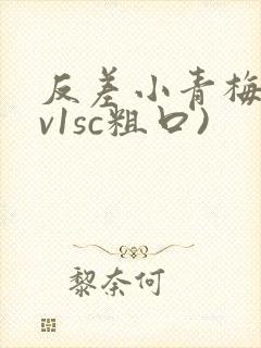 反差小青梅(1v1sc粗口)