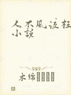 人不风流枉少年小说