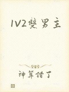 1V2双男主