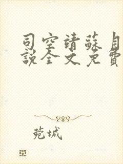 司空靖苏月汐小说全文免费阅读