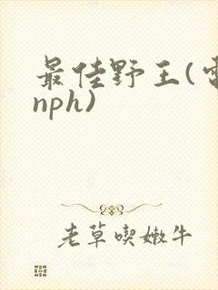 最佳野王(电竞nph)