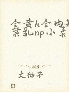 全黄h全肉短篇禁乱np小柔