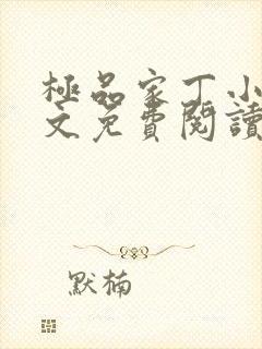 极品家丁小说全文免费阅读封面