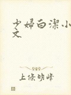 少妇白洁小说全文封面