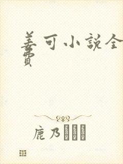 姜可小说全文免费封面