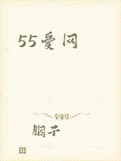 55爱网