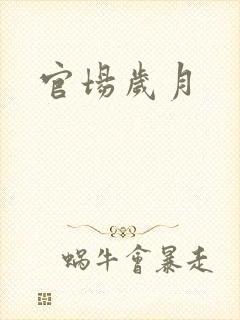 官场岁月