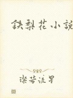 铁梨花小说