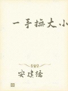 一手抚大小说