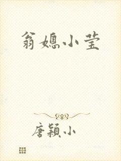 翁媳小莹封面