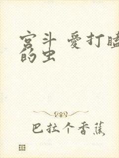 宫斗 爱打瞌睡的虫