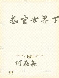 感官世界下载