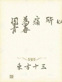 因为痛 所以叫青春