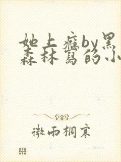 她上瘾by黑暗森林写的小说免费阅读无弹窗